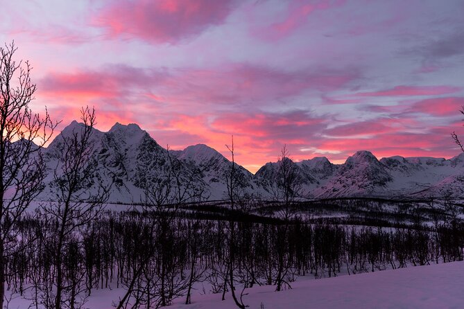 Tromso-Snowshoeing Excursion to Viewpoint - Why the 11:00 a.m. start works well in Tromsø