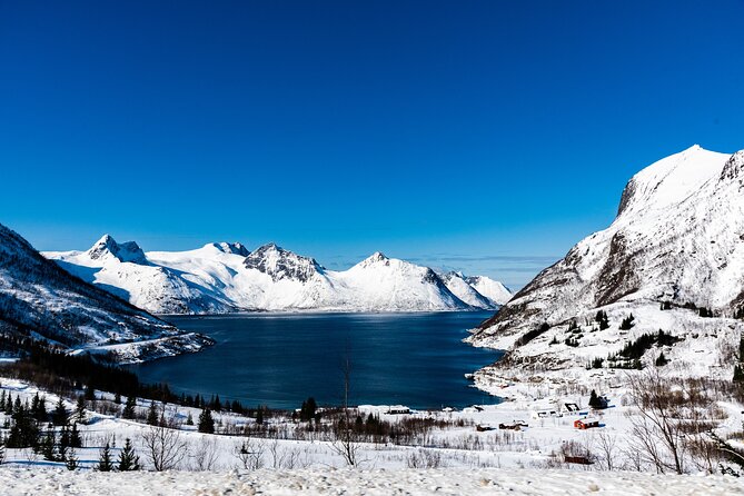 Tromso-Snowshoeing Excursion to Viewpoint - The 30-minute drive into the snowy hills