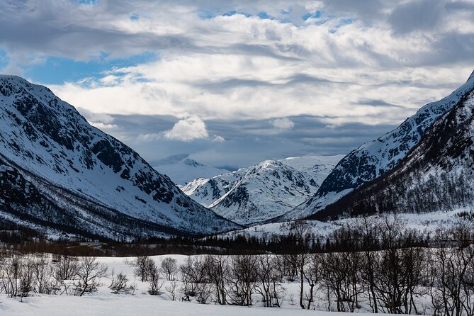 Tromso-Snowshoeing Excursion to Viewpoint - Walking toward the viewpoint