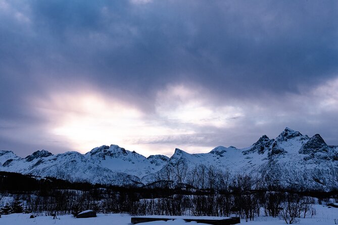 Tromso-Snowshoeing Excursion to Viewpoint - Returning to Tromsø in time for your next plan