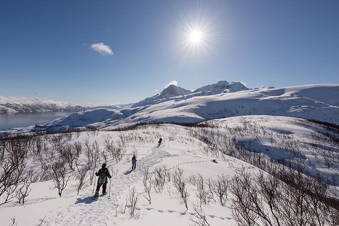 Tromso Snowshoeing - Valley, Fjord Views, Wildlife, Meal & Pickup - Wildlife in the Arctic countryside
