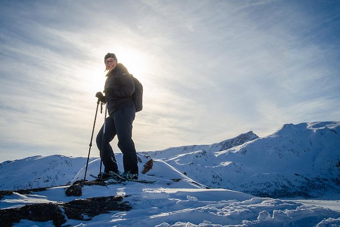 Tromso Snowshoeing - Valley, Fjord Views, Wildlife, Meal & Pickup - Lunch, hot drinks, and the summit pause