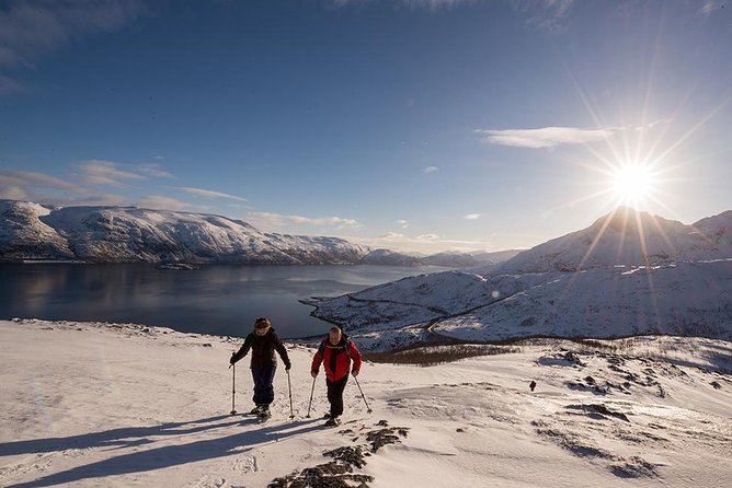 Tromso Snowshoeing - Valley, Fjord Views, Wildlife, Meal & Pickup - Clothing, comfort, and the less glamorous details