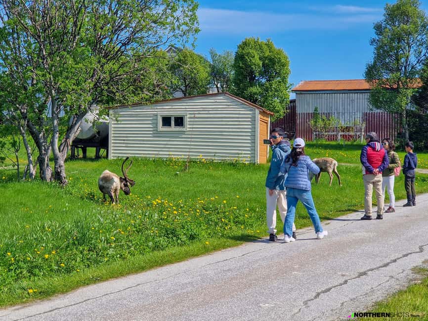 Tromsø: Sommaroy Fjord Tour with Lunch Option & Midnight Sun - Evening departures and the midnight sun