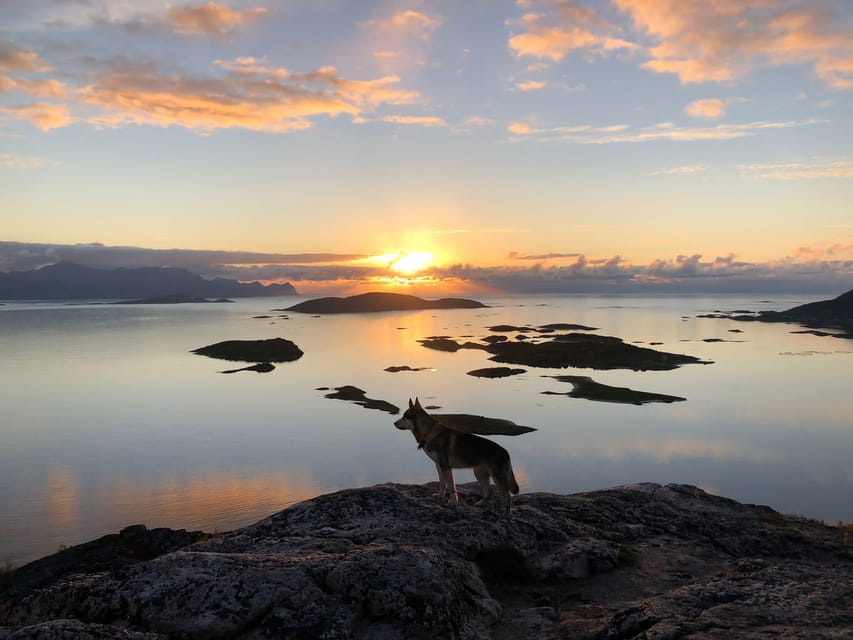 Tromsø: Sommarøy Islands Midnight Sun Tour - How much time do you really get?