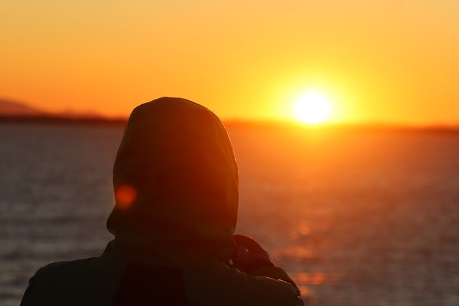 Tromsø & Sommarøy - Private coastal tour with a local - Who should book this coastal tour