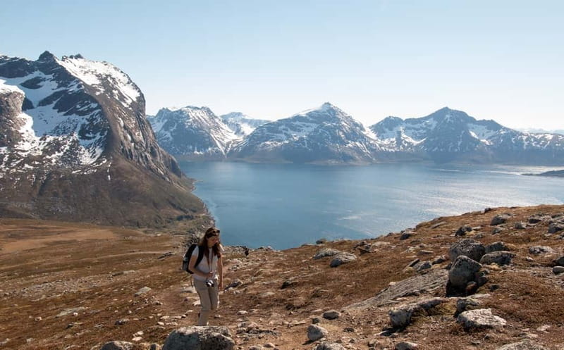 Tromsø: Summer Day Hike in the wilderness - Key points to know before booking