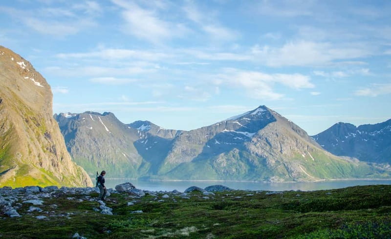 Tromsø: Summer Day Hike in the wilderness - What the guide adds along the trail