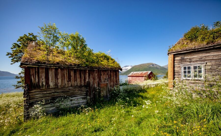 Tromsø: Summer Fjord Road Trip with Citizen Science - Is $142 a fair price?