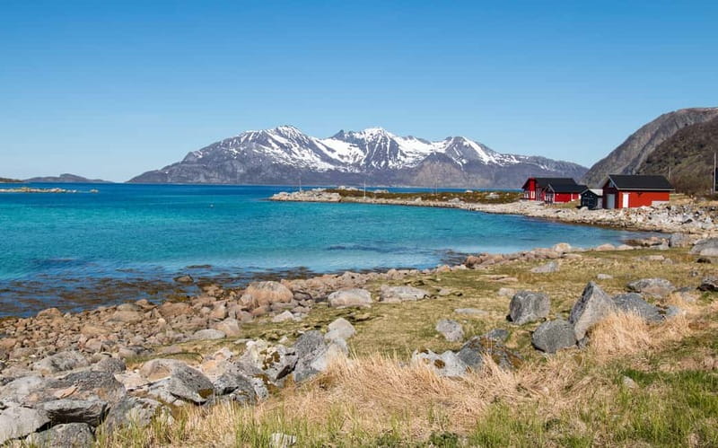 Tromsø: Summer Fjord Road Trip with Citizen Science - Citizen science that gives the outing a purpose