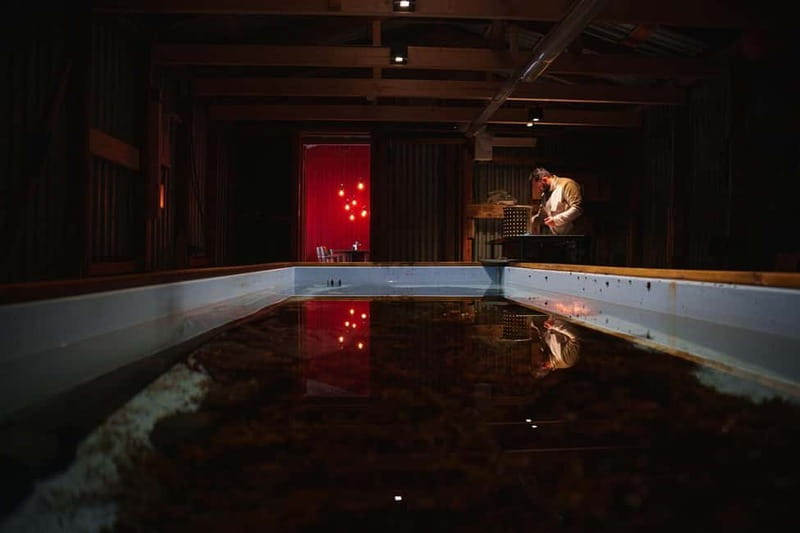 Tromsø: Tasty King Crab Adventure - Should you book the Tasty King Crab Adventure?