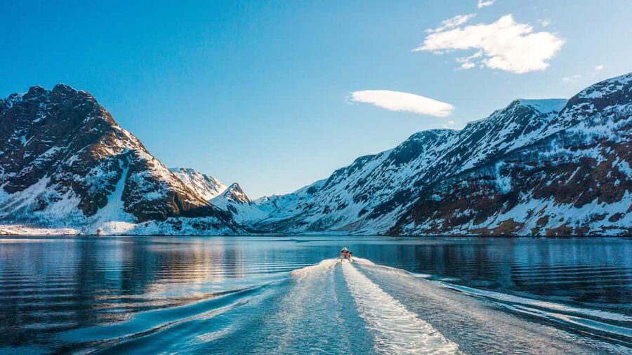 Tromsø Whale Safari with MS Keiser Wilhelm - Key Points To Know Before You Sail