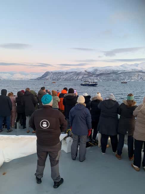 Tromsø Whale Safari with MS Keiser Wilhelm - Leaving From Tromsø’s Nerstranda Quay