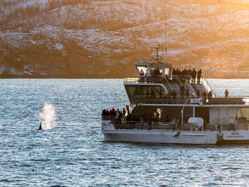 Tromsø: Whale Watching Tour by Hybrid-Electric Boat - Why the hybrid-electric boat matters