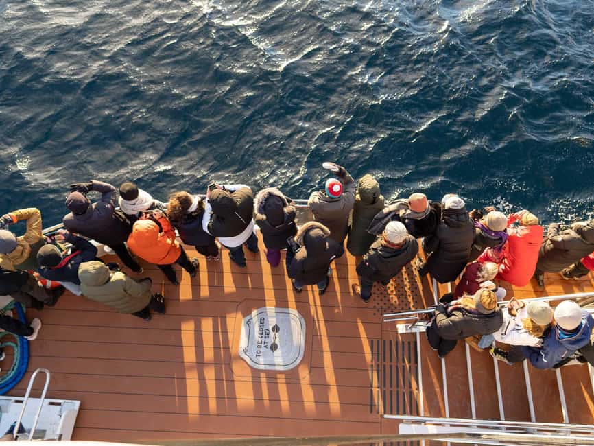 Tromsø: Whale Watching Tour by Hybrid-Electric Boat - Seasickness, crowds, and practical comfort