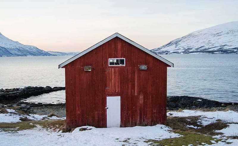 Tromsø: Winter Fjord Road Trip with Citizen Science - Looking for reindeer, sea eagles, and coastal wildlife