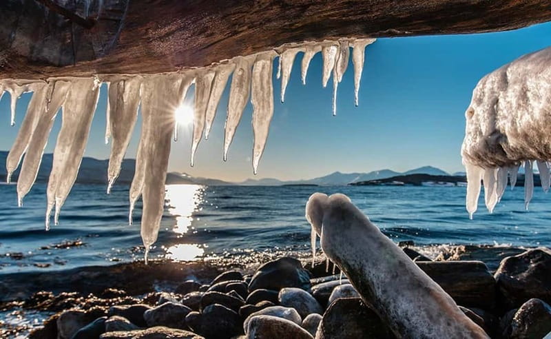 Tromsø: Winter Fjord Road Trip with Citizen Science - What four hours really gives you