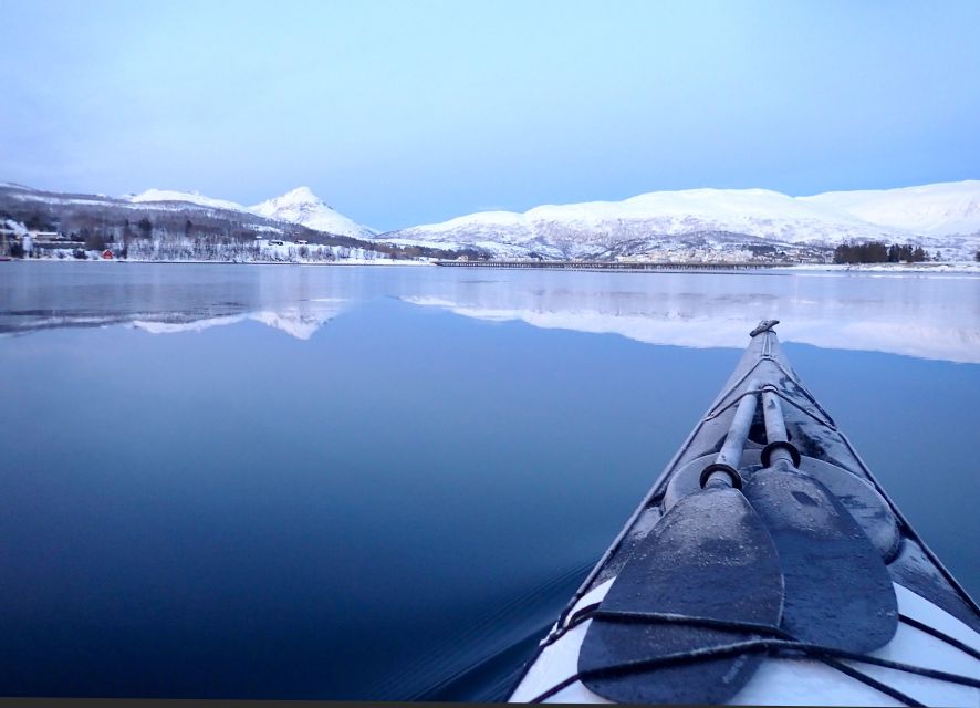 Tromsø: Winter Sea Kayaking Tour with Wildlife Sightings - Quick take: what makes this tour worth your time