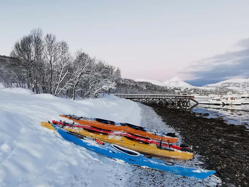 Tromsø: Winter Sea Kayaking Tour with Wildlife Sightings - Paddling through snowy fjords and islands