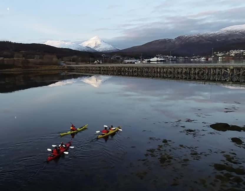 Tromsø: Winter Sea Kayaking Tour with Wildlife Sightings - Wildlife watching without chasing animals