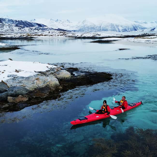 Tromsø: Winter Sea Kayaking Tour with Wildlife Sightings - Is $191 a fair price?