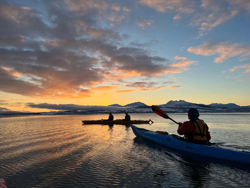Tromsø: Winter Sea Kayaking Tour with Wildlife Sightings - Practical booking advice for winter conditions