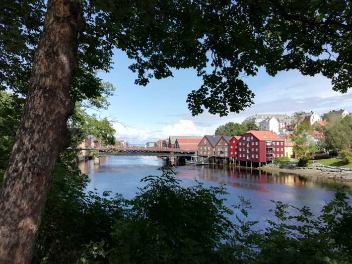 Trondheim : Explore the city of kings with a local guide - Nidaros Cathedral, Trondheim’s grandest outside view
