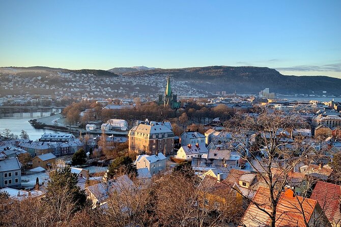 Trondheim Private Walking Tour - A Professor’s Approach to the Past