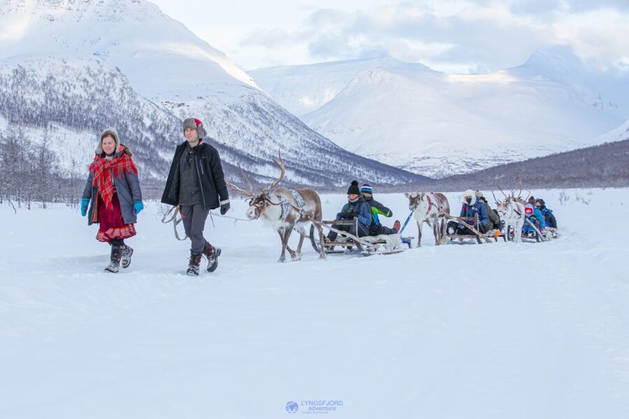 True Locals of the Arctic: Reindeer Sledding at Camp Tamok - The road from Tromsø to Tamokdalen