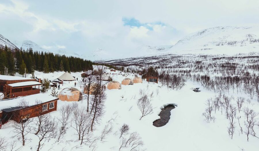True Locals of the Arctic: Reindeer Sledding at Camp Tamok - Meeting the small reindeer herd