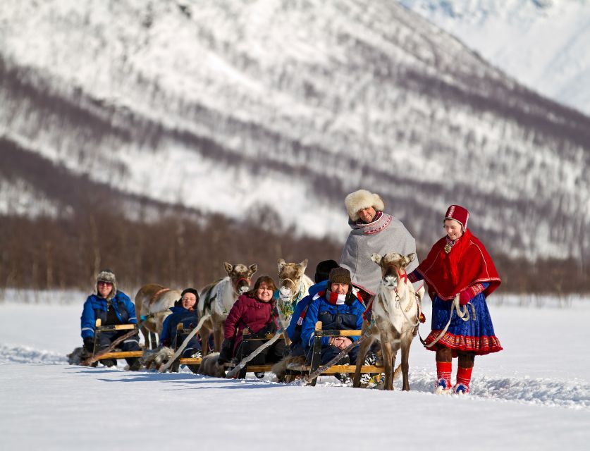 True Locals of the Arctic: Reindeer Sledding at Camp Tamok - Practical advice for a smoother day