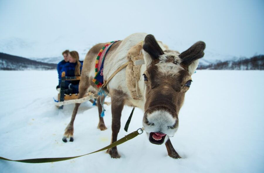 True Locals of the Arctic: Reindeer Sledding at Camp Tamok - Getting outfitted for Arctic weather