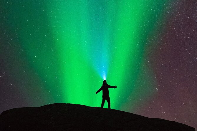 Ultimate Aurora Hunt Northern Lights Van Tour with Hot Drinks - Key points at a glance