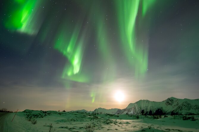 Ultimate Aurora Hunt Northern Lights Van Tour with Hot Drinks - A moving route through the Lofoten Islands