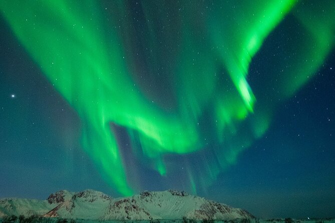 Ultimate Aurora Hunt Northern Lights Van Tour with Hot Drinks - Who should book this experience?