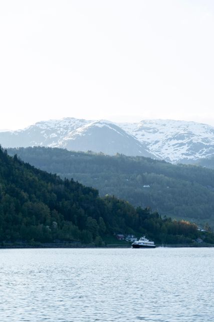 Ulvik adventure: Exploring Hardangerfjord's Osafjord by RIB - How this compares with a quiet fjord cruise