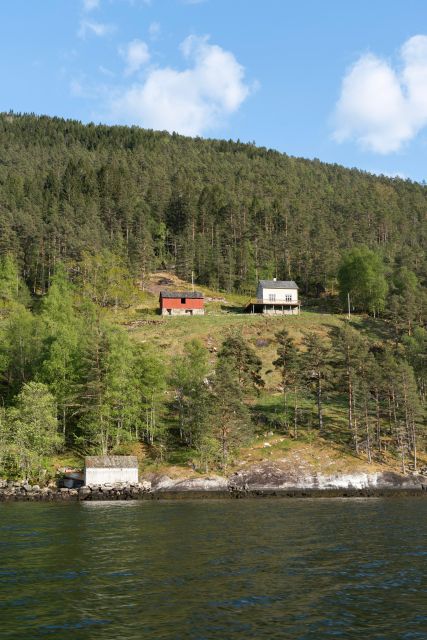 Ulvik adventure: Exploring Hardangerfjord's Osafjord by RIB - What the stops add to a high-speed ride