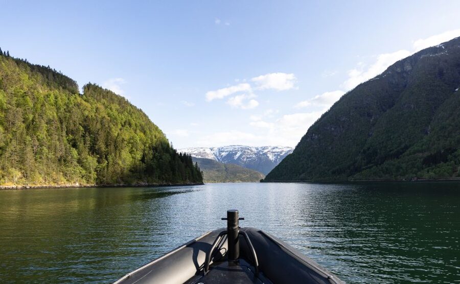 Ulvik: Hardangerfjord Ultimate RIB Tour - Simadalsfjord, waterfalls, and power