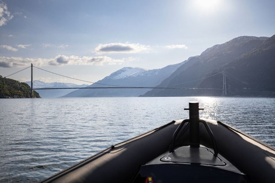 Ulvik: Hardangerfjord Ultimate RIB Tour - What the captain adds