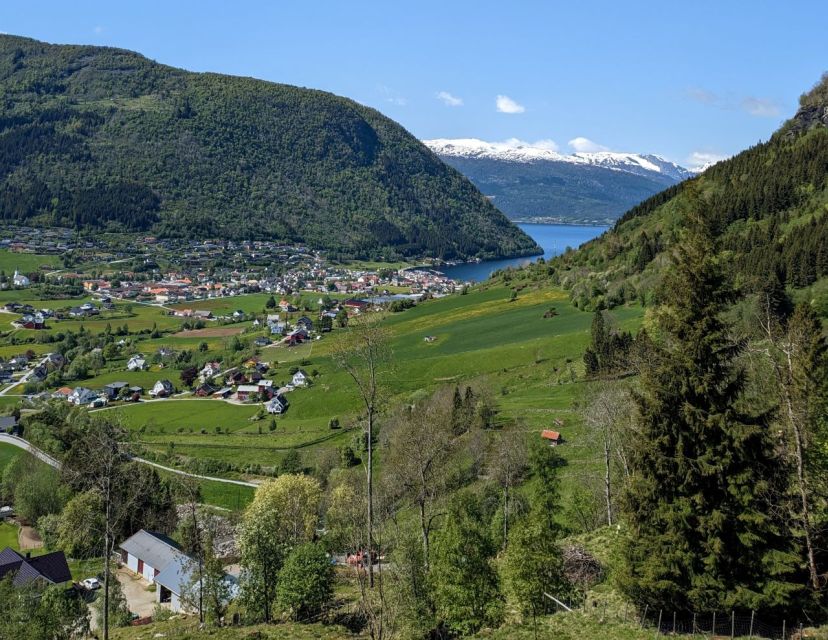 Vik i Sogn: Authentic Farm Visit - Key things to know before visiting Steim Farm