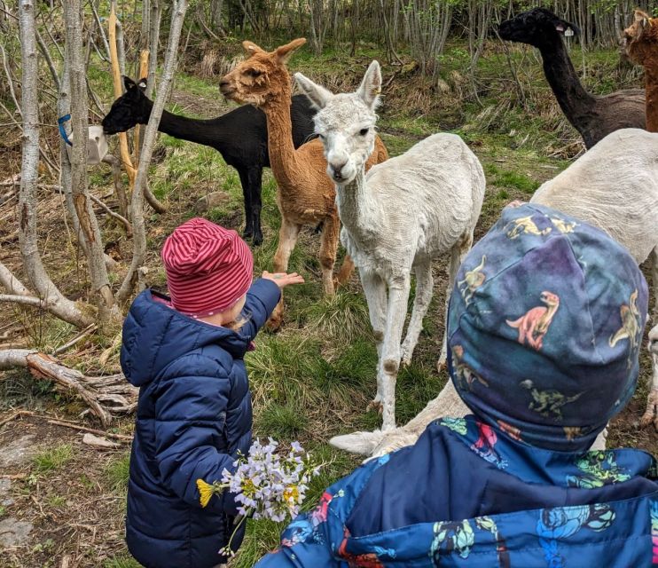 Vik i Sogn: Authentic Farm Visit - Arriving at the big gray house in Vik