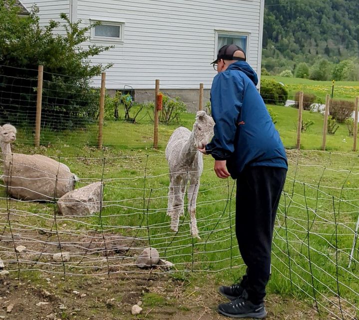 Vik i Sogn: Authentic Farm Visit - Why the eight-person limit matters