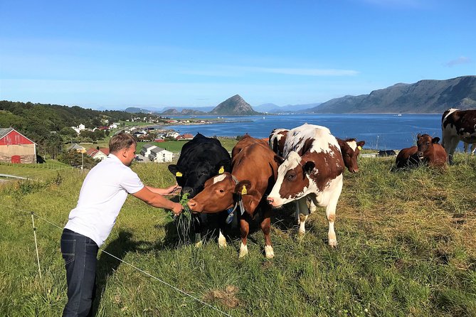 Viking Islands from Alesund: 5-Hour Private Group Tour - Aksla Mountain and Ålesund’s Art Nouveau view