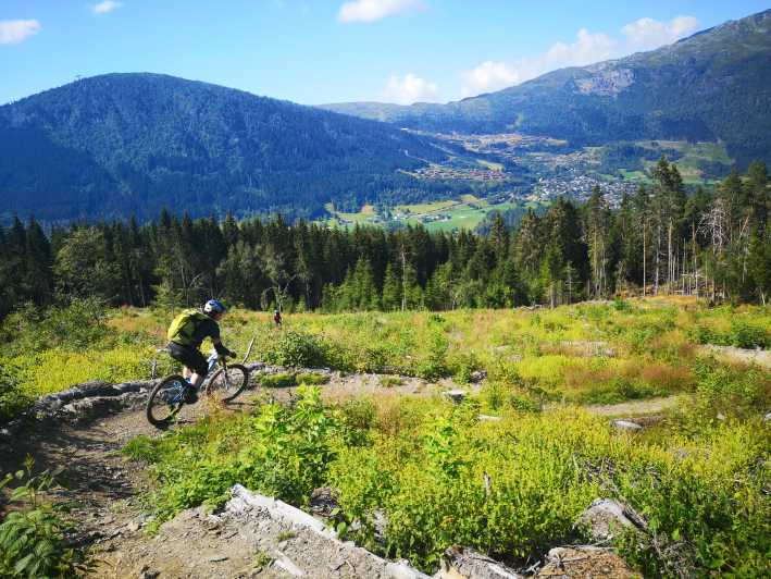 Voss - Mountain Bike – Bømoem Forest - Why Bømoen forest makes a good Voss ride