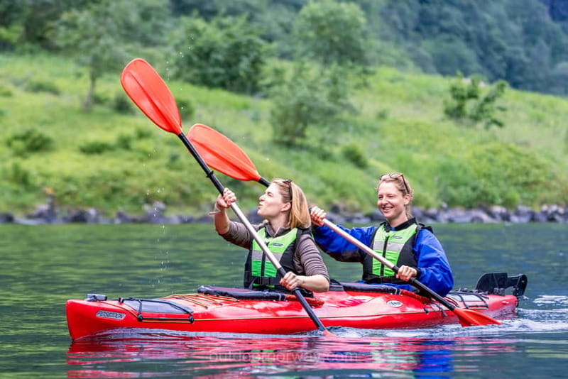 Vossevangen: Nærøyfjord Full-Day Guided Kayaking Trip - Who should choose this outing