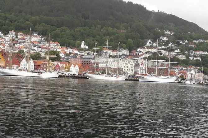 Walking tour: Medieval Spirit of Bergen + sweet Arctic gifts - Quick reasons to consider this Bergen tour
