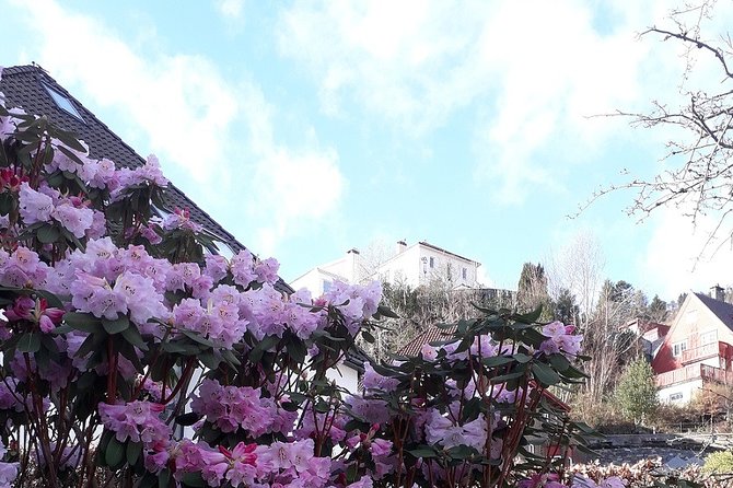 Walking tour: Medieval Spirit of Bergen + sweet Arctic gifts - Starting at Bergen’s Fish Market