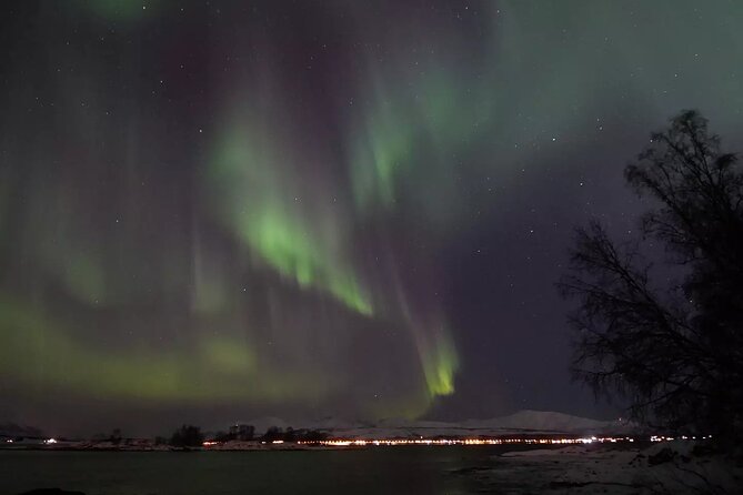 Watching The Aurora Dance - Sausages, Norwegian toppings, and hot drinks