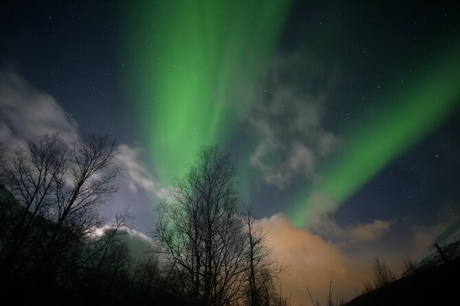 Watching The Aurora Dance - What the $167.36 price really buys