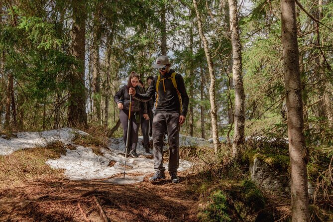 Wildlife Forest Hike - Why this hike is a good change from central Oslo
